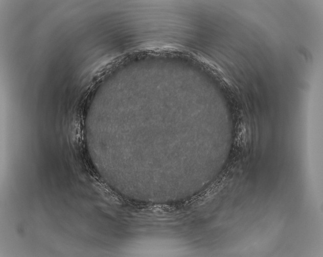 X0000111450966200908031410