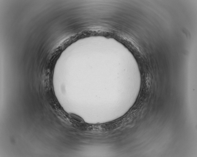 X0000111450968200908031410