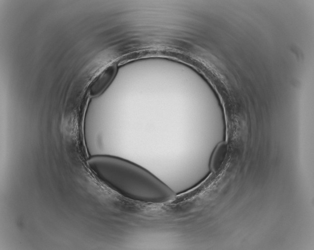 X0000111450969200908031410