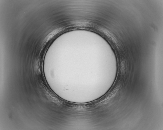 X0000111450970200908031410