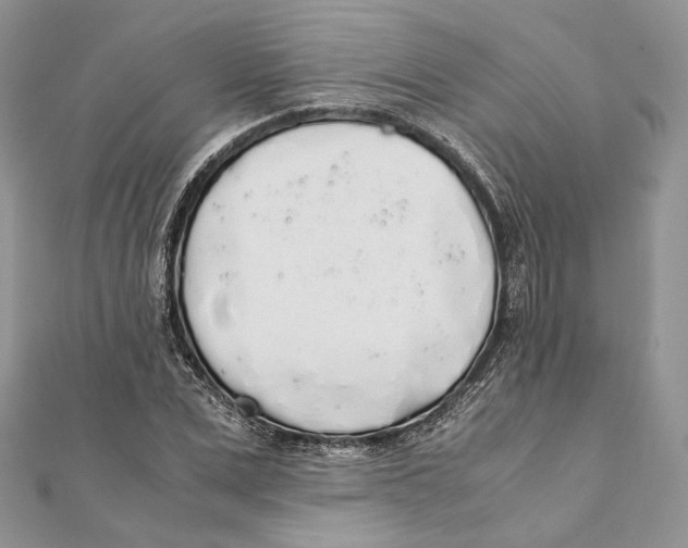 X0000111450975200908031410