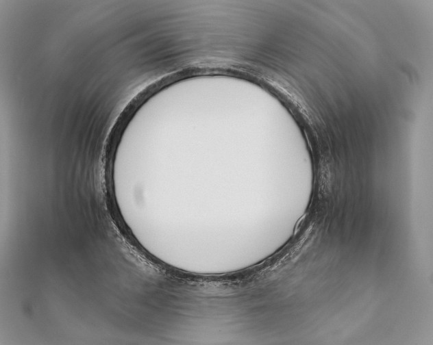 X0000111450976200908031410