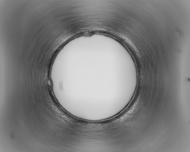 X0000111450977200908031410