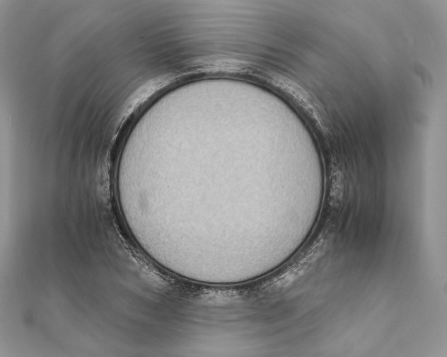 X0000111450978200908031410