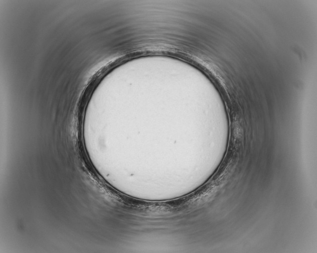 X0000111450979200908031410