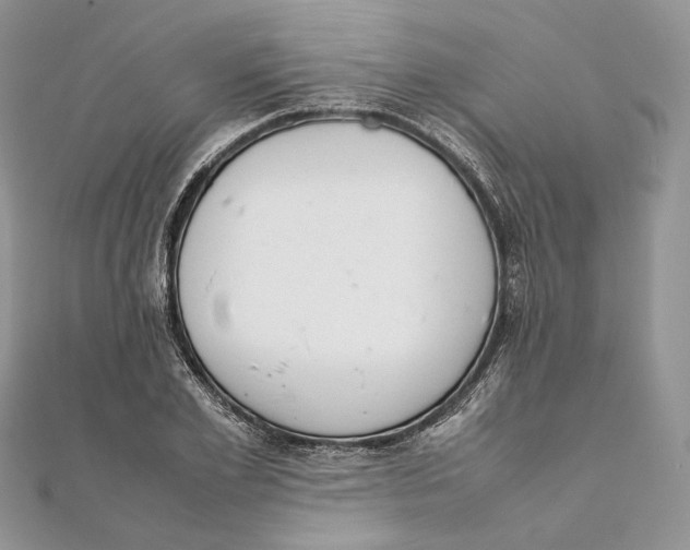 X0000111450981200908031410