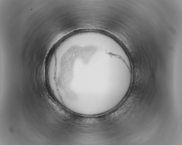X0000111450982200908031410