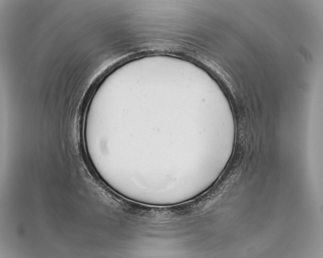 X0000111450983200908031410