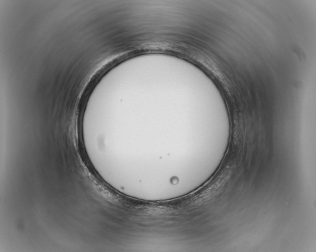 X0000111450984200908031410