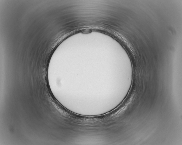 X0000111450985200908031410
