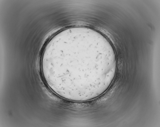 X0000111450987200908031410