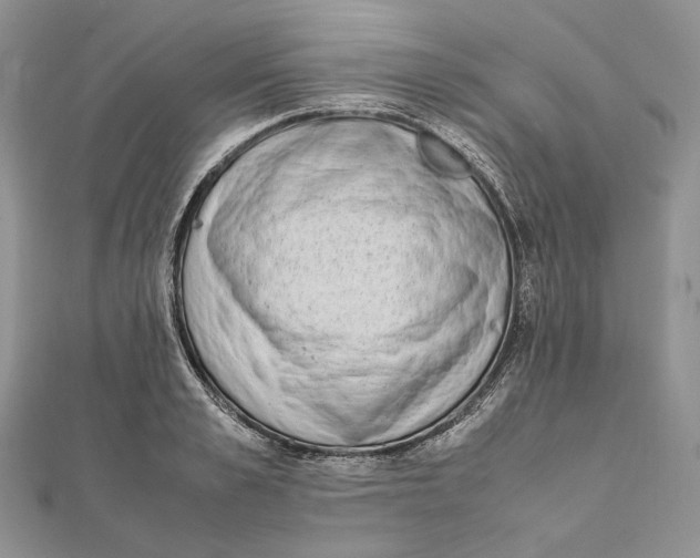 X0000111450989200908031410