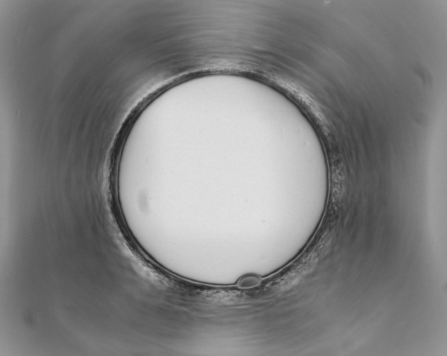 X0000111450991200908031410