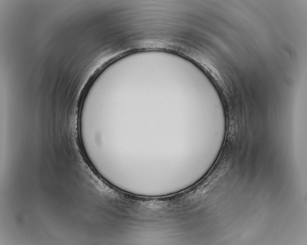 X0000111450992200908031410