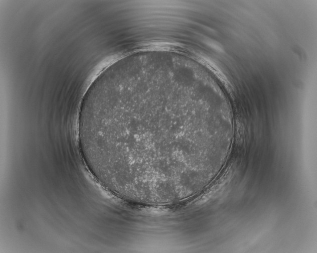 X0000111450994200908031410