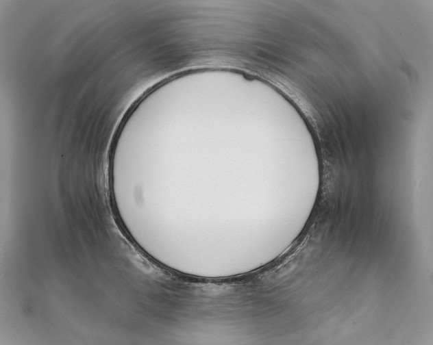 X0000111450996200908031410