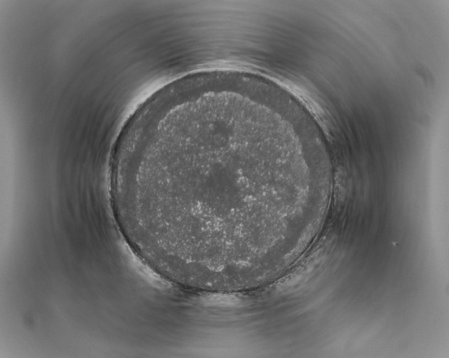 X0000111450998200908031410