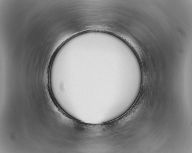 X0000111450999200908031410
