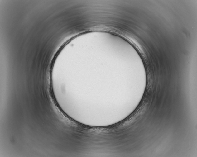 X0000111451000200908031410
