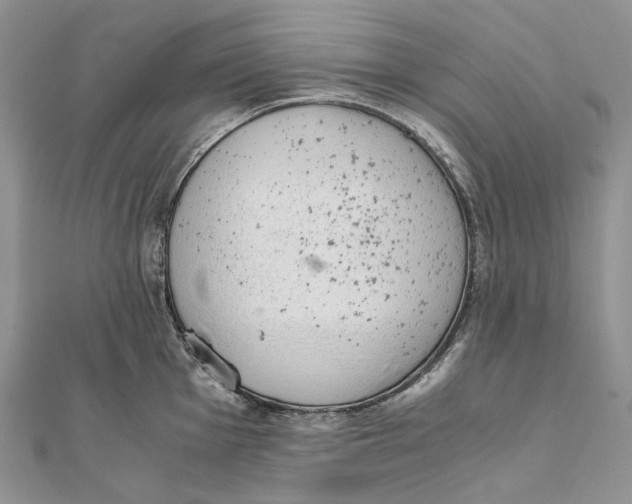 X0000111451001200908031410