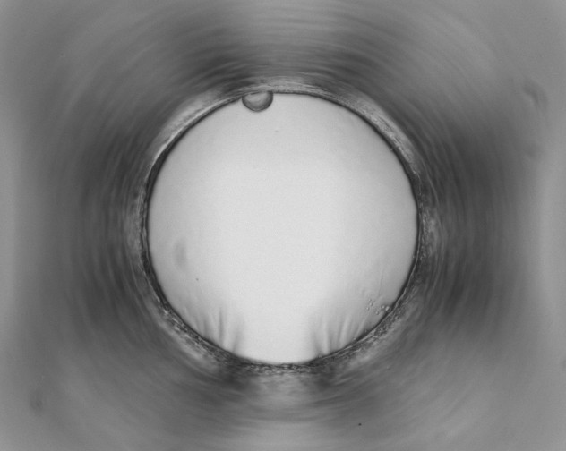X0000111451002200908031410