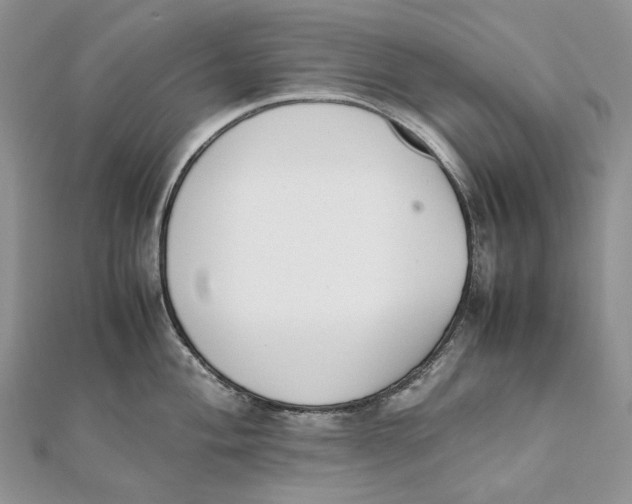 X0000111451004200908031410