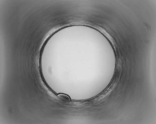 X0000111451005200908031409