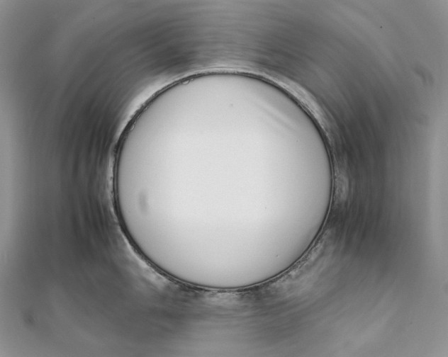 X0000111451006200908031409