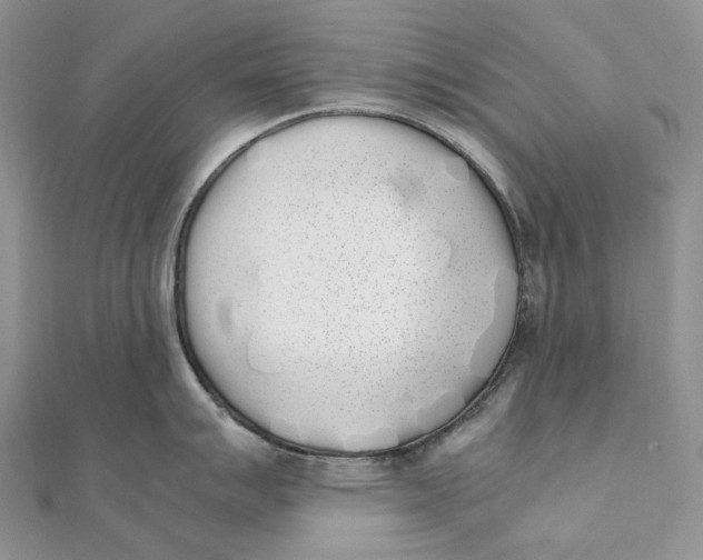 X0000111451007200908031409