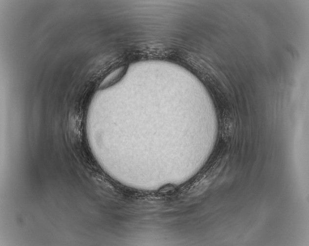 X0000111451010200908031409