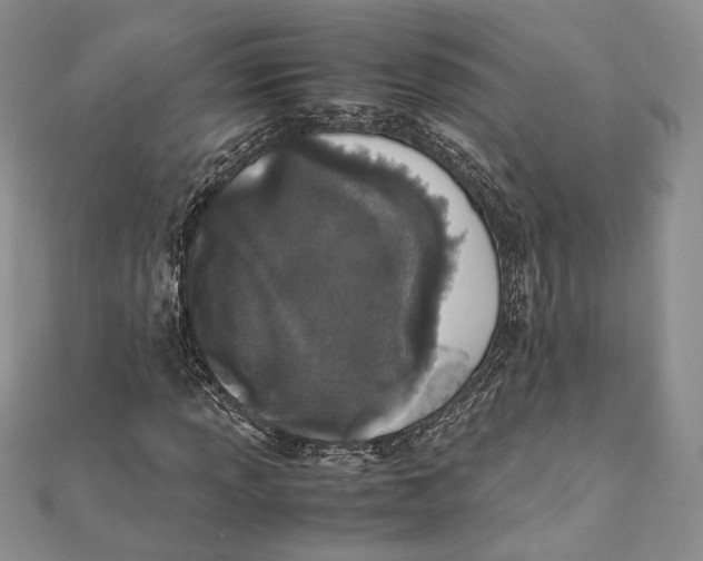 X0000111451013200908031409