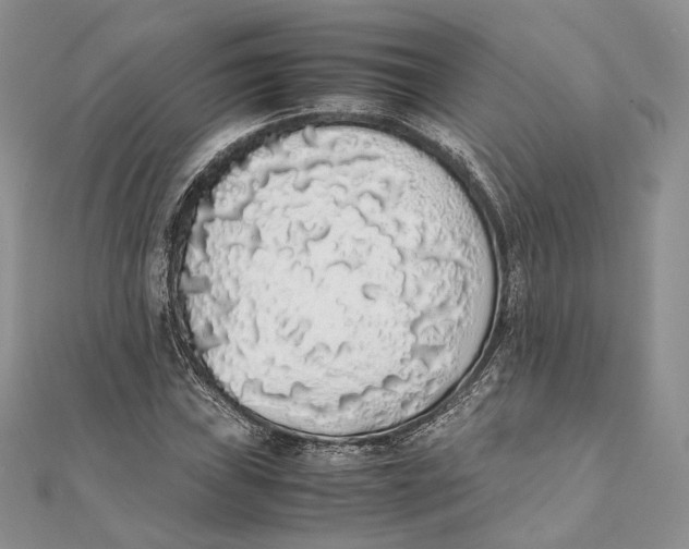 X0000111451019200908031409