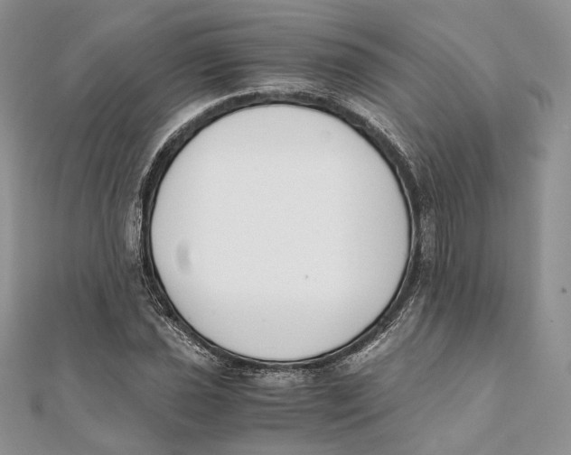 X0000111451021200908031409