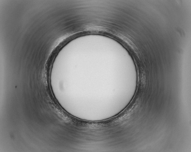 X0000111451022200908031409
