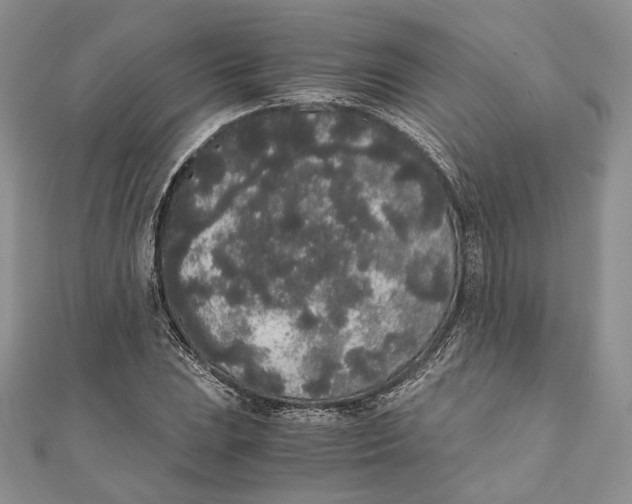X0000111451023200908031409