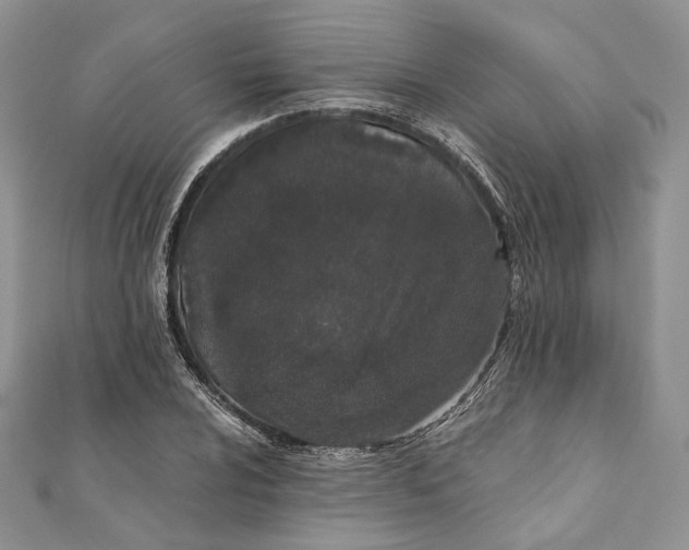 X0000111451024200908031409
