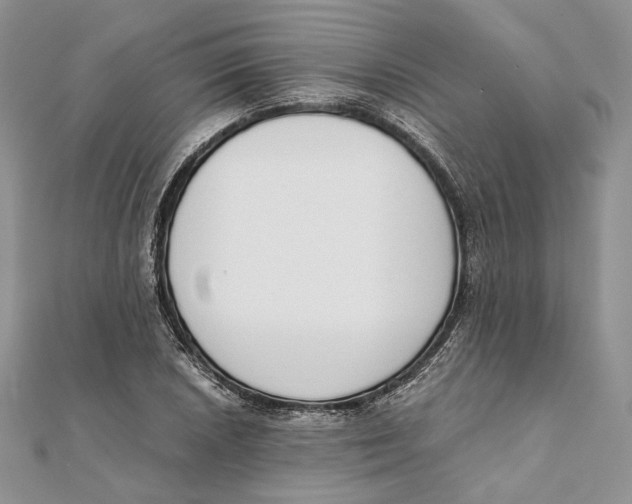 X0000111451026200908031409