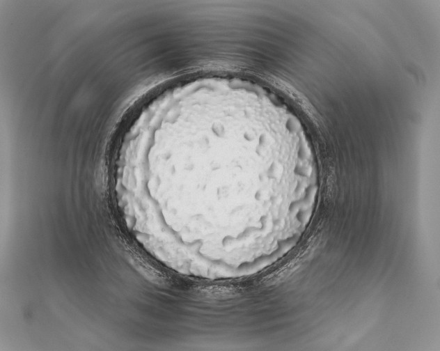 X0000111451027200908031409