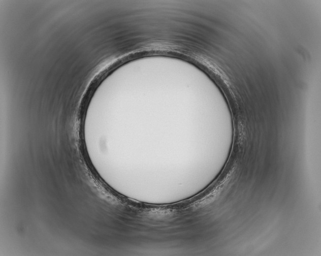 X0000111451029200908031409