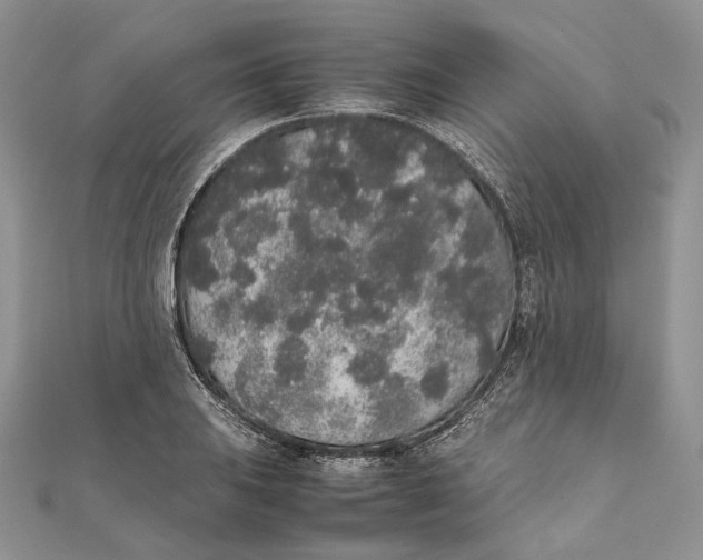 X0000111451031200908031409