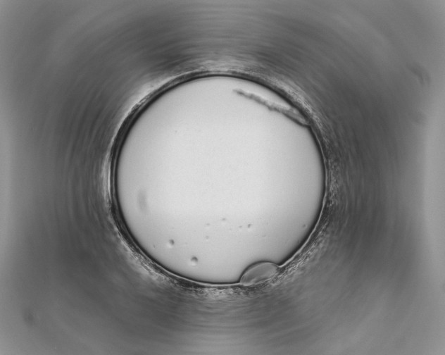 X0000111451032200908031409