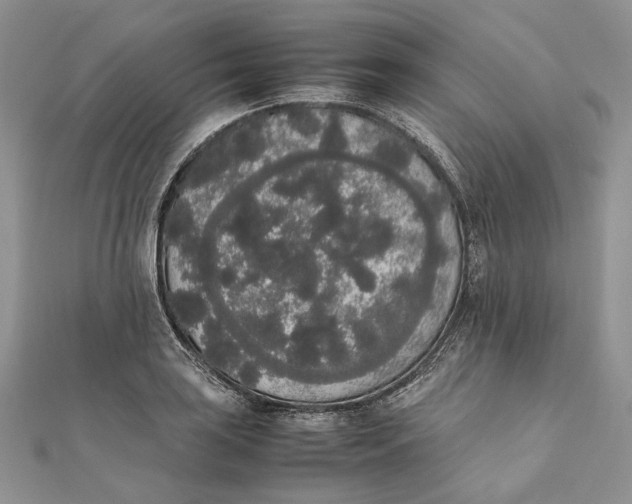 X0000111451035200908031409