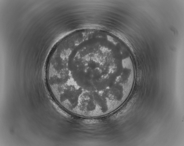 X0000111451037200908031409