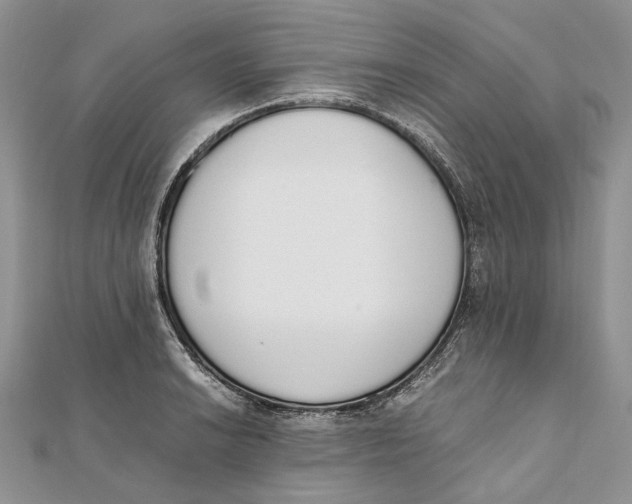 X0000111451038200908031409