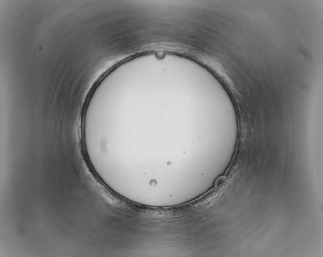 X0000111451040200908031409