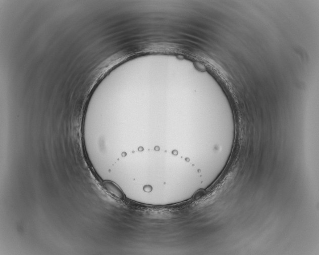 X0000111451041200908031409