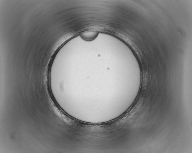 X0000111451042200908031409
