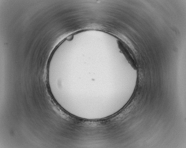 X0000111451044200908031409
