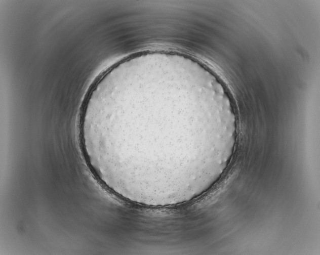X0000111451045200908031409