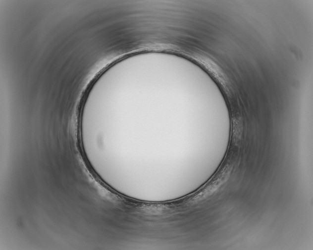 X0000111451046200908031409